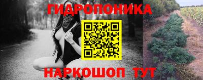 молекула духа Коммунар