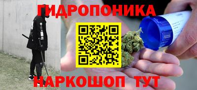 молекула духа Коммунар